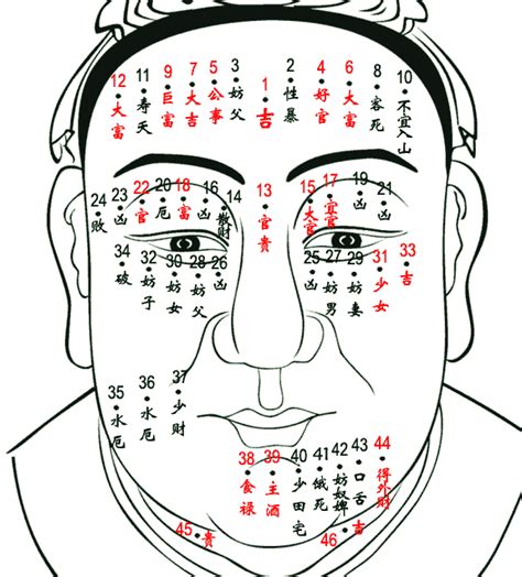 頭頂有痣|分析頭頂痣相圖解